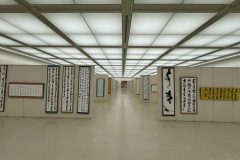 ca47d5a9cd60097e79a48e7729d9e4bc